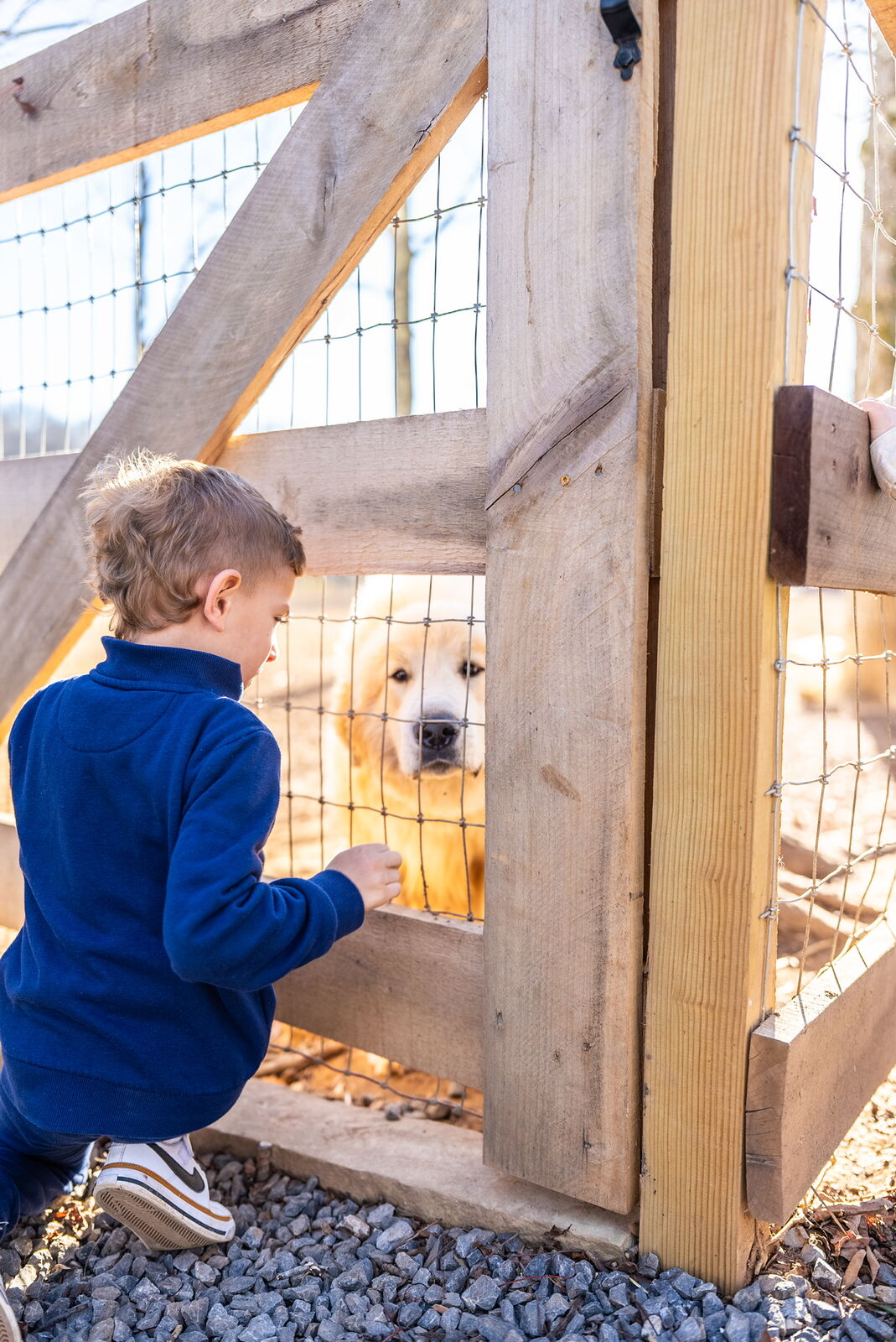 Boy petting a farm dog