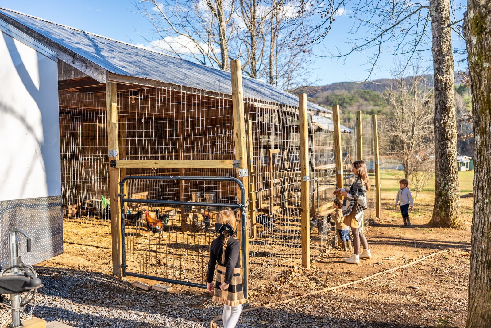 Kids feeding the farm animals