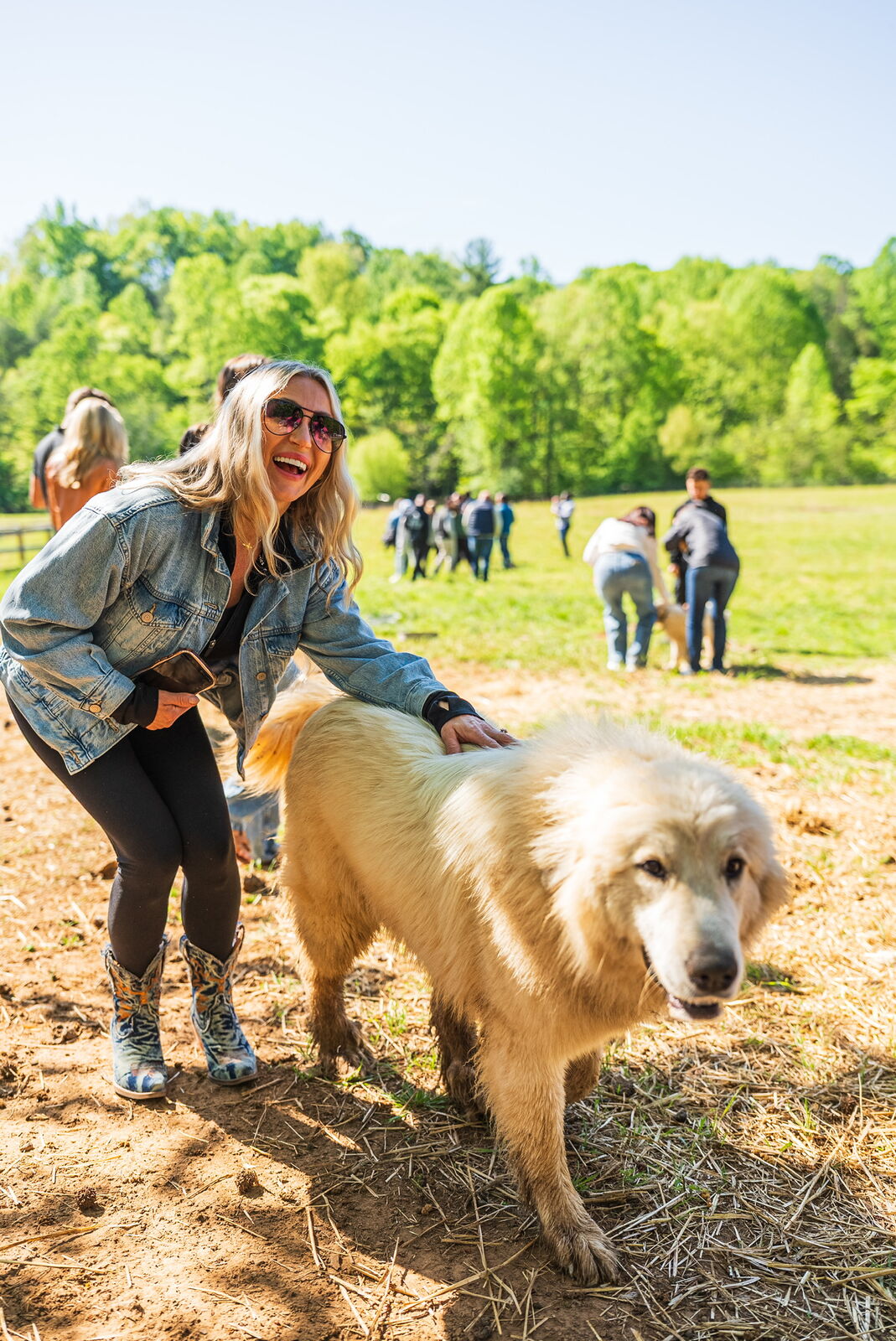 Woman relaxing with a farm dog